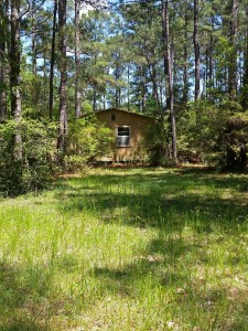 Central Texas hunting cabin with wooded lot and land